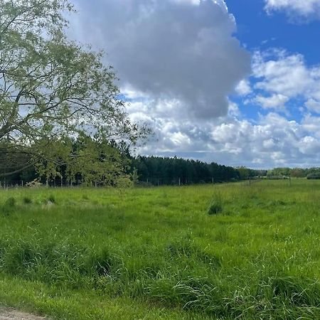 Gite Le Village Des Champs Soings-en-Sologne المظهر الخارجي الصورة